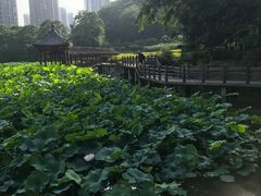 -龙头寺公园