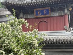 -潭柘寺景区
