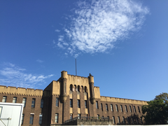 -大阪市立自然史博物馆