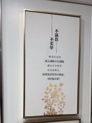 -镁连社·美联社