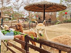 -盈香心动乐园