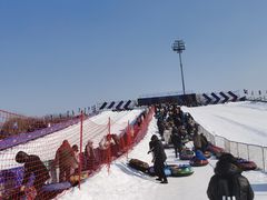 -沈阳奥体冰雪嘉年华
