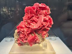 -湖南省地质博物馆