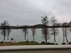 -鹤之洲湿地公园