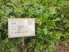 -黑龙江中医药大学