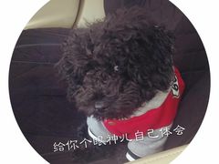 -宏光宠物医院(解放东路店)