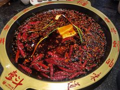 红汤锅底-一斗火锅·招财羊毛肚(泰吉滨江店)