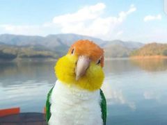 -肯德基(东直门来福士店)