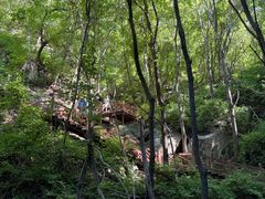 -大岭沟猕猴桃谷风景区