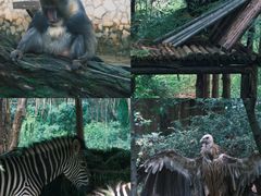 -云南野生动物园