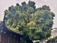 -南京市民俗博物馆(甘熙故居)