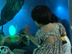 -海棠湾洲际-涛·海底餐厅·美人鱼·自助餐·海底隧道