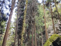 -梭布垭石林景区