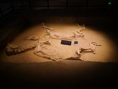 -洛阳周王城天子驾六博物馆