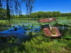 -东郊湿地公园