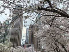 -西北湖绿化广场