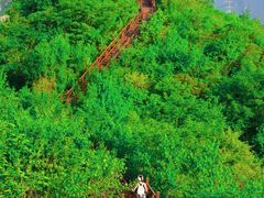 -大岭沟猕猴桃谷风景区
