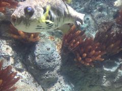 -福州罗源湾海洋世界旅游区