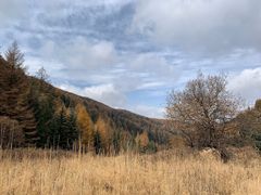-管涔山