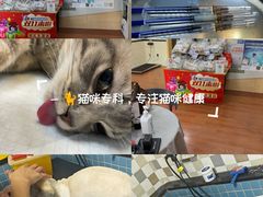 -千城康桥宠物医院·猫科·骨科·心脏