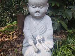 -灵隐飞来峰景区