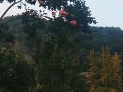 -楠柏弯休闲山庄(梨花溪店)