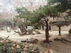 -成都动物园