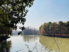 -上海海湾国家森林公园