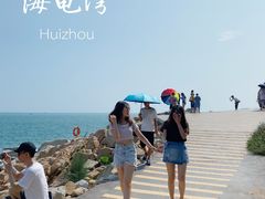 -广东惠东海龟国家级自然保护区