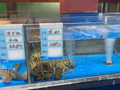 -张家卫·阳江菜·小海鲜(肥婆湾桥店)