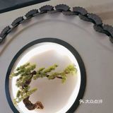 一口酥烂红烧肉的幸福