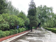 -青城公园