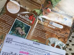 -清迈夜间动物园