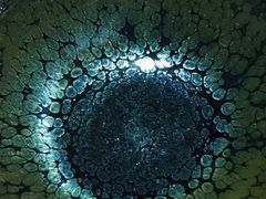 -三旗百汇商品城