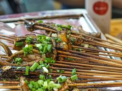鳝鱼-晓靖轩烧烤(沙河风情店)