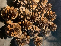 -MOJ coffee(瓯海泽雅水碓坑店)