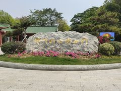 -顺峰山公园