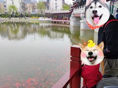 -西海子公园
