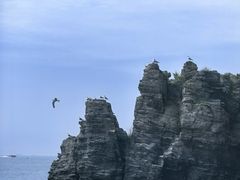 -大连金石滩滨海国家地质公园