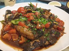 -生态苑农庄(十里画廊遇龙河店)