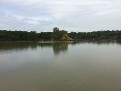 -大湾区中央湿地公园