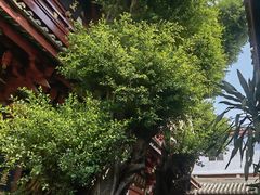 -叩齿古寺