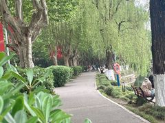 -西南交通大学(九里校区)