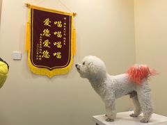 -萌兽医馆·犬猫专科·眼科中心·宠物医院(朝阳门分院)