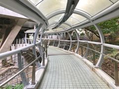 -香港大学