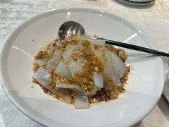 -丁老爷子苏香圆
