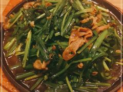 -老蜀人川菜馆(中关村店)