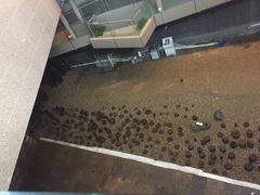 -元代水闸遗址博物馆