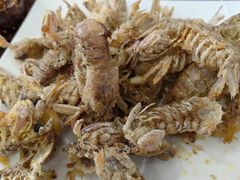 -叶存利海鲜大馅饺子(海宁路总店)