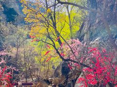 -黑龙潭风景区